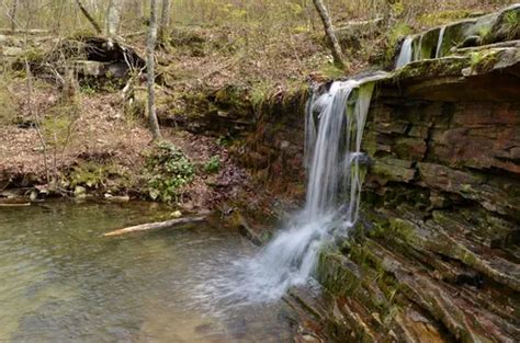 10 Best Hikes And Trails In Desoto State Park Alltrails