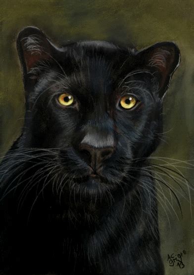 Black Panther Leopard By Art It Art On Deviantart