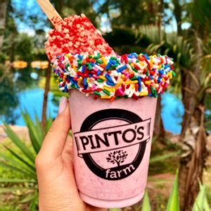 Snacks & Beverages - Pintos Farm