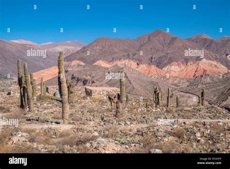 Argentina Jujuy Province Quebrada De Humahuaca Listed As World