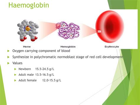 interpretation  cbc pptx