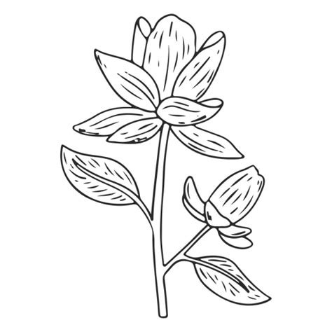 Diseños Png De Forma De Flor Para Camisetas And Merch