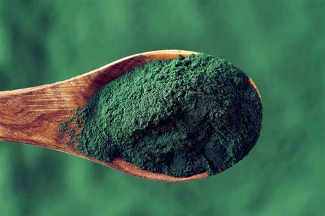 Spiruline Les Bienfaits Et Propri T S De Cette Algue Bioaddict Fr