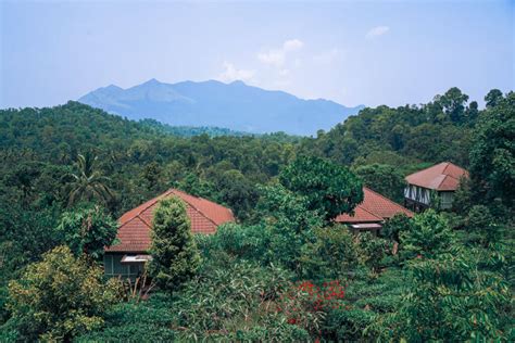 6 BEST Ayurveda Resorts in Kerala for a Rejuvenating Retreat