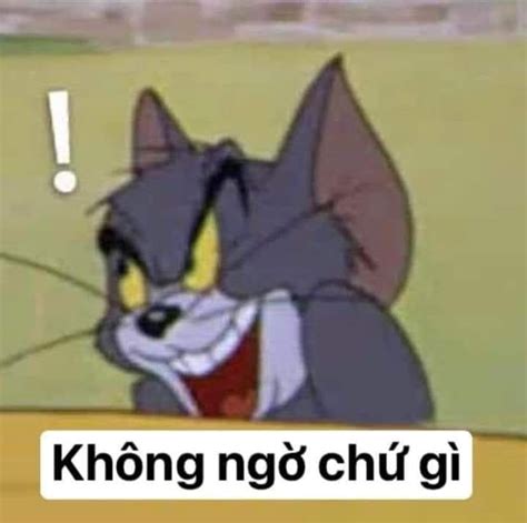 Meme M O Tom C I Nham Hi M Kh Ng Ng Ch G