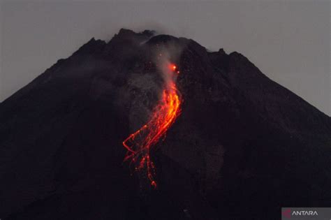 Gunung Merapi Kali Luncurkan Guguran Lava Pijar Antara News Kupang