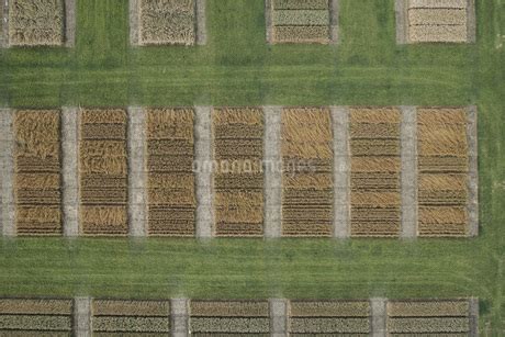 Full Frame Aerial View Of Crops In Agricultural Landscape Stuttgart