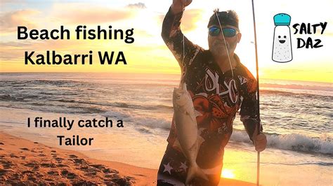 Beach Fishing Kalbarri Wa I Finally Catch A Tailor Youtube