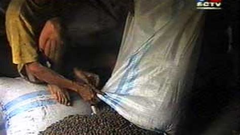 Harga Kopi Anjlok Petani Mengeluh News Liputan6