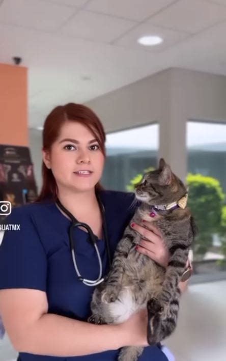 Universidad Autonoma De Tamaulipas Hospital Veterinario Fmvz Uat