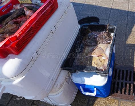 French Fisherman Selling Fresh Fish At Vieux Port In Marseille France