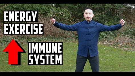 Simple Qi Gong Exercises To Boost Your Immune System Full Routine