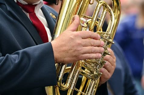 Gambar Alat Musik Tuba Mosi