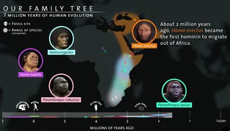 Learning By Looking: An Animated Timeline Of 7 Million Years Of Human ...