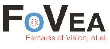 VSS FoVea Travel and Networking Award