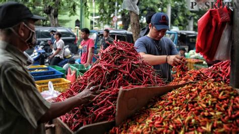 Kian Pedas Harga Cabai Merah Di Kabupaten Tangerang Hingga 100 Persen