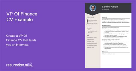 vp  finance cv examples guide