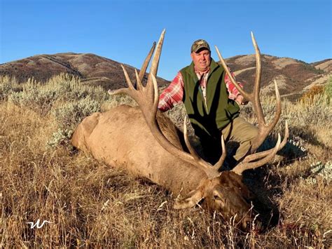 5 Reasons People Choose Guided Elk Hunts | West Canyon Ranch