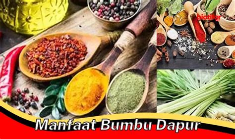 Temukan Rahasia Bumbu Dapur Jarang Diketahui Biotifor