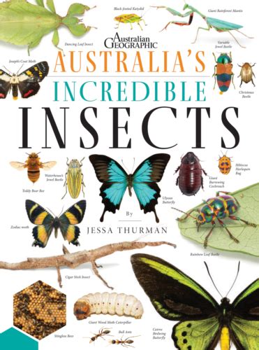 AUSTRALIA'S INCREDIBLE INSECTS - Australian Geographic