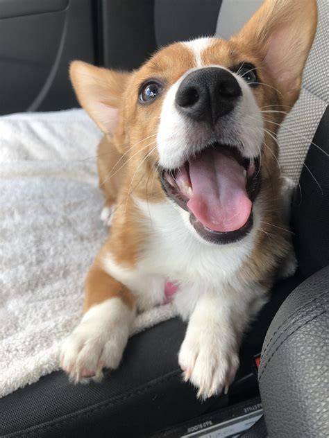 Best Matilda Images On Pholder Tank Porn Imaginary Monster Girls And Movie Details