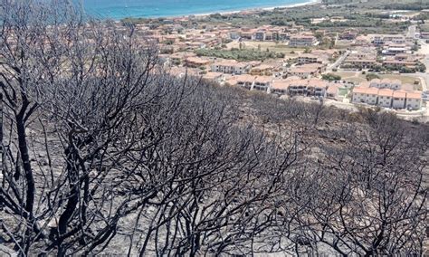 La Sardegna Brucia Devastati Ettari