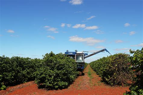 Governo Ajusta Estimativa Do Valor De Produção Agropecuária Para R