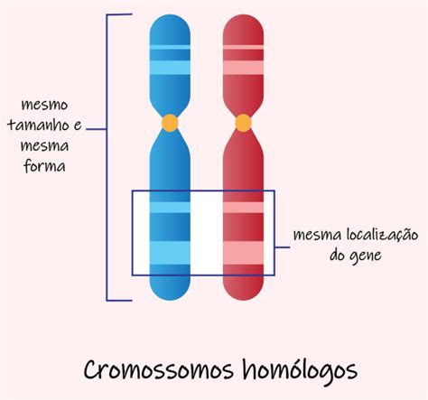 1 quais semelhanças em relação a estrutura e tema que podemos