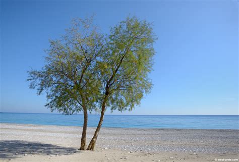 By the Libyan Sea