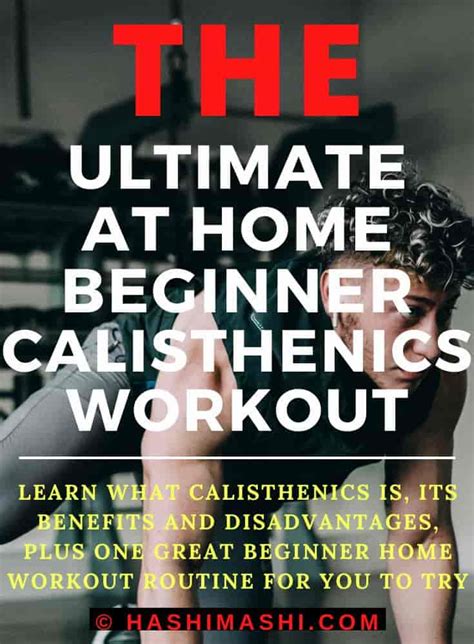 Beginner Calisthenics Workout Plan Pdf Blog Dandk