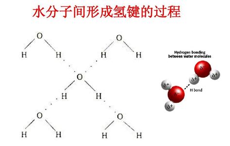 氢键 快懂百科