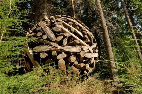 Sculptures In Woodland Ashford 2019 All You Need To Know Before You