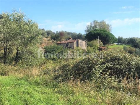 Vendita Cascina In Strada Senza Nome Massa E Cozzile Da