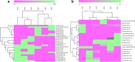 Heatmap Of Significant Differential Expression Of Mirnas In Different Download Scientific