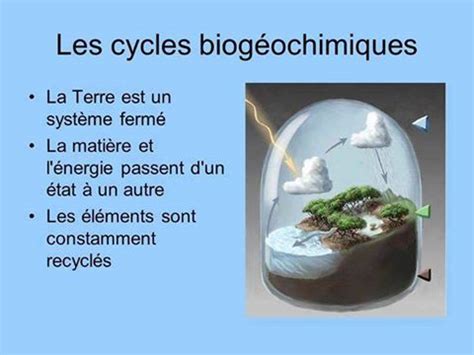 les cycles biogéochimiques