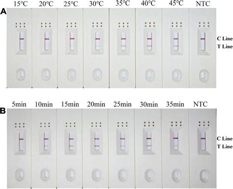 Optimization Of The Modified Primer Probe Set In RPA LFD Assay A