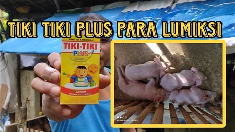 Magpapainom Ako Ng Tiki Tiki Plus Sa Mga Biik Ko Para Lumiksi Sila