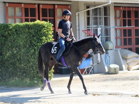 【神戸新聞杯】エタリオウ友道師「ダービーのように追い込んでくれれば」ねぇさんのトレセン密着 競馬ニュース Netkeiba