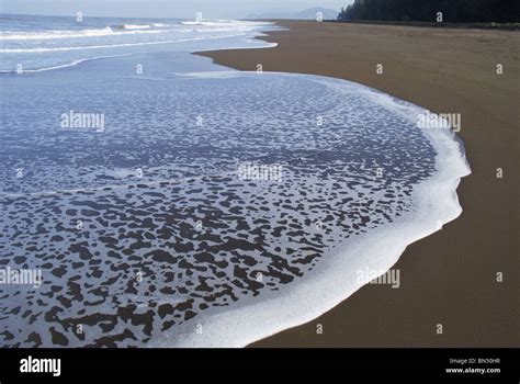Arabian Sea Photos Hi Res Stock Photography And Images Alamy