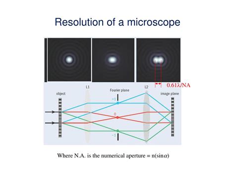 PPT - Introduction to Electron Microscopy PowerPoint Presentation, free ...