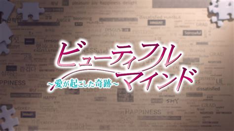 チャン・ヒョク主演「ビューティフル・マインド～愛が起こした奇跡～」52 Dvdリリース Youtube