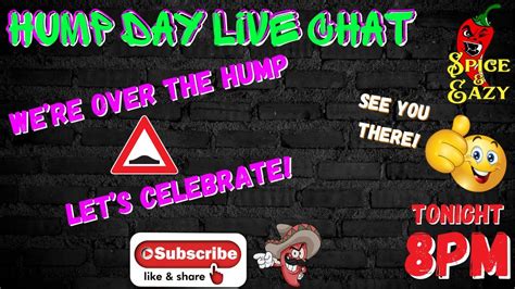 Hump Day Live Chat Youtube