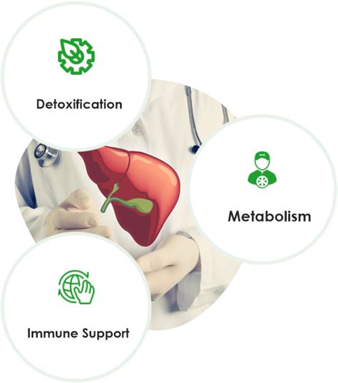 Sgot And Sgpt Level Test Range Causes Symptoms Treatment Medtalks