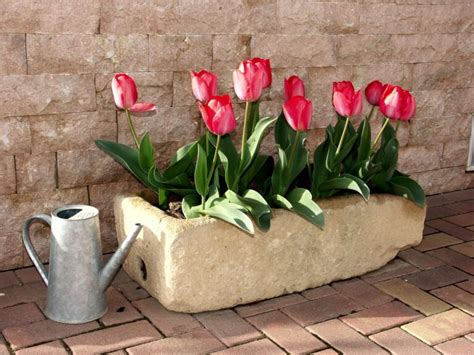 Vaso Di Fiori Idee Per Abbellire Casa La Passione Di Arredare