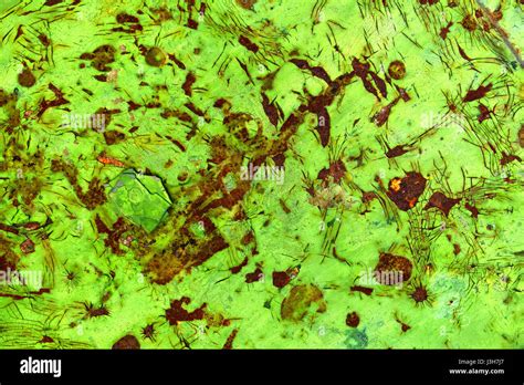 Vibrant Green Fluorescent Abstract Painting Grunge Texture Background