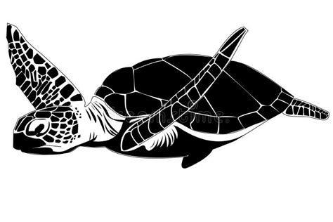 Sea Turtle Stock Vector Illustration Of White Black 27253096