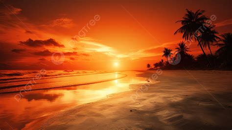 An Orange Sunset With Palm Trees On The Beach Background Picture Of A