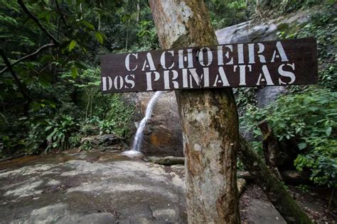 Cachoeira Dos Primatas Hike Halfway Anywhere