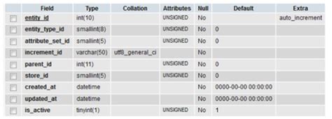 마젠토에서 Eav 엔트리 데이터베이스 테이블 Database Tables For Eav Entities In Magento