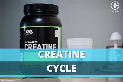 Creatine Cycle Is It Necessary For Optimal Results